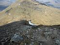 20100522_benmore_michi 027